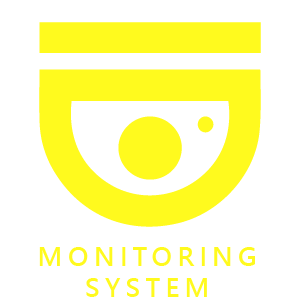 web-icon-pic-monitoring